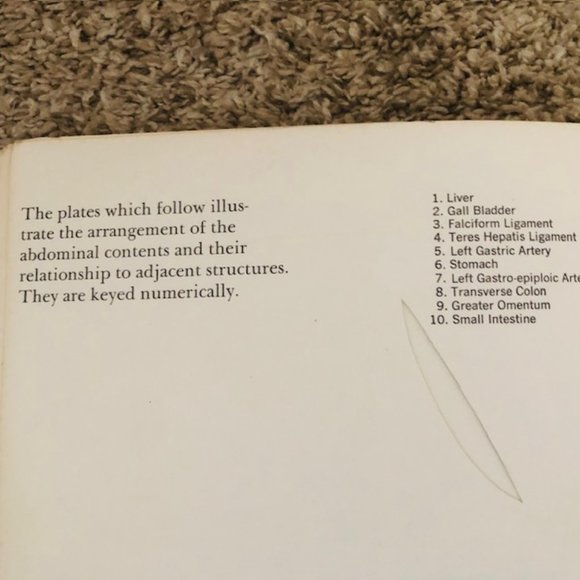 Vintage Medical Ephemera -Ethicon The Abdomen- Layers of Abdomen - Stitches 1968 - Picture 7 of 14